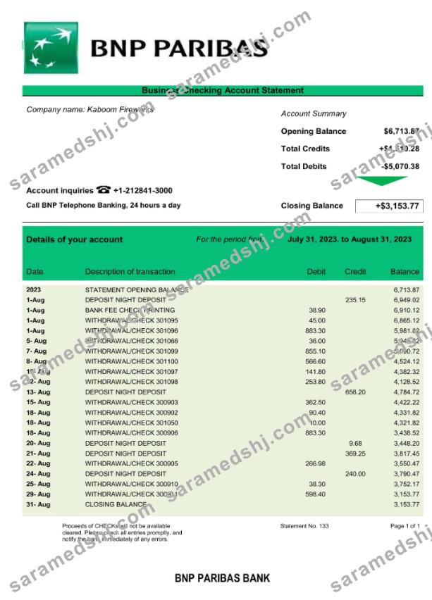 Bank BNP Paribas company statement Word and PDF template
